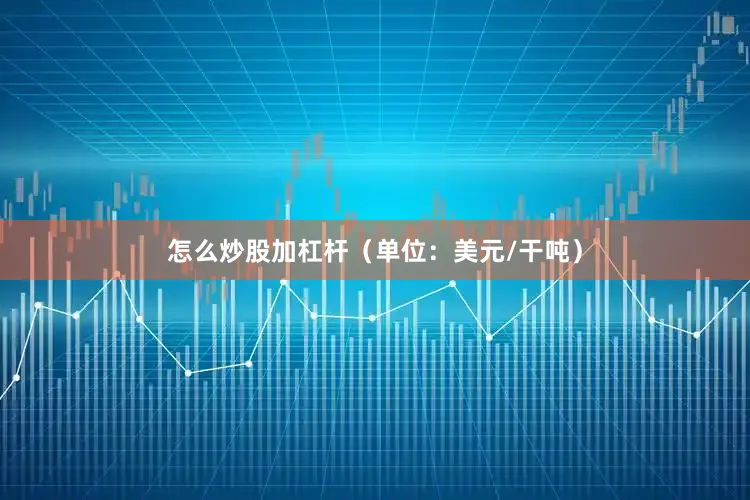 怎么炒股加杠杆（单位：美元/干吨）